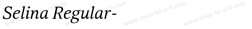 Selina Regular字体转换